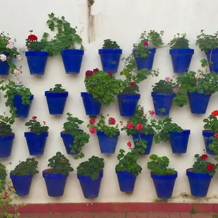 Toril-casco Historico * Кордова