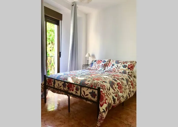 Toril-casco Historico *