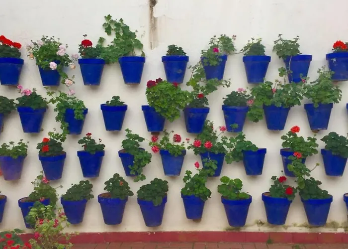 Toril-casco Historico * Cordoue