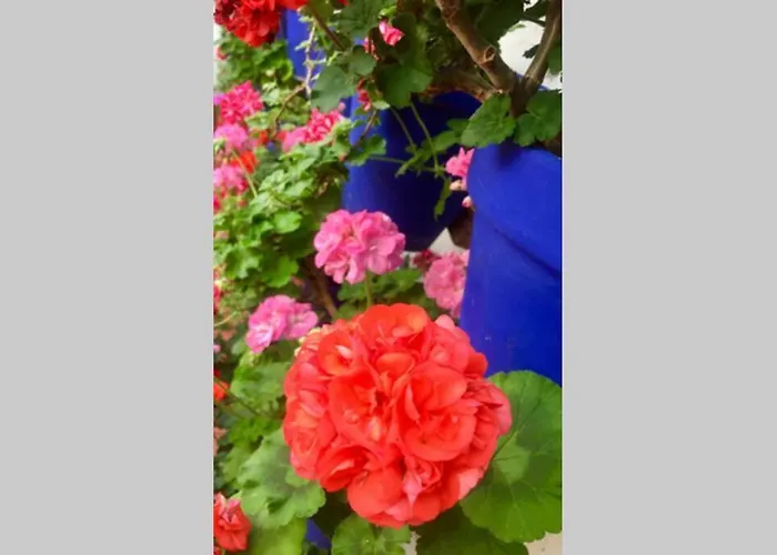 Appartamento Toril-casco Historico Cordova