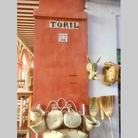 Toril-casco Historico 公寓 *